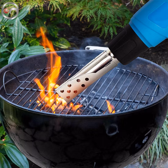 Heat Gun Kit 2000W with Dual