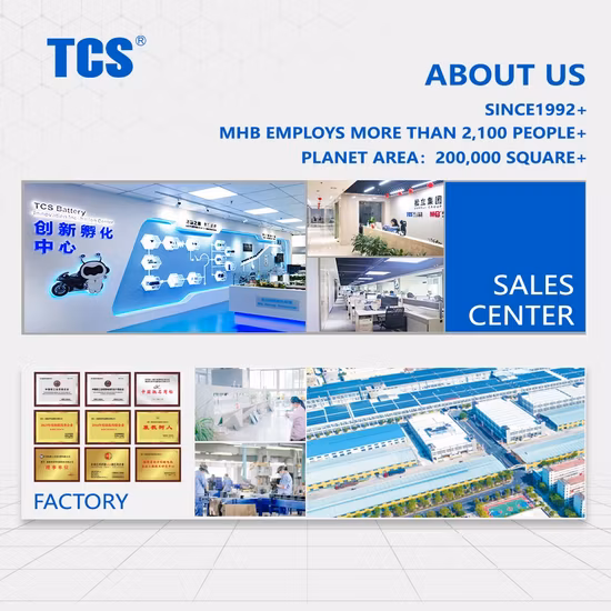 Tcs
